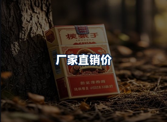 专业团队办公环境